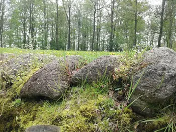 Bayernwald, Wijtschate, Heuvelland (Belgium)